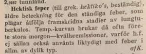 Hektisk feber, Svensk Uppslagsbok, 1932 års upplaga